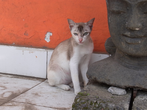 d0005157_1732457.jpg