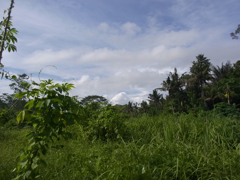 d0005157_1759219.jpg