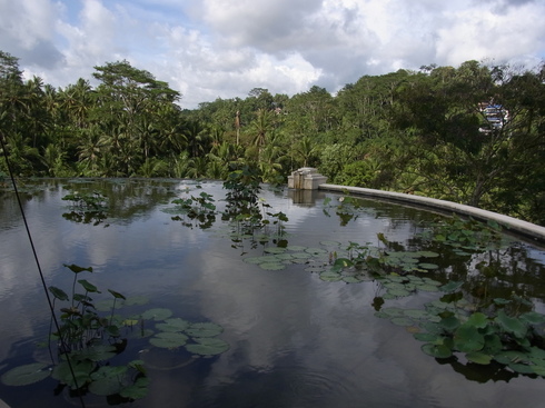 d0005157_1773169.jpg
