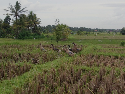 d0005157_18232577.jpg