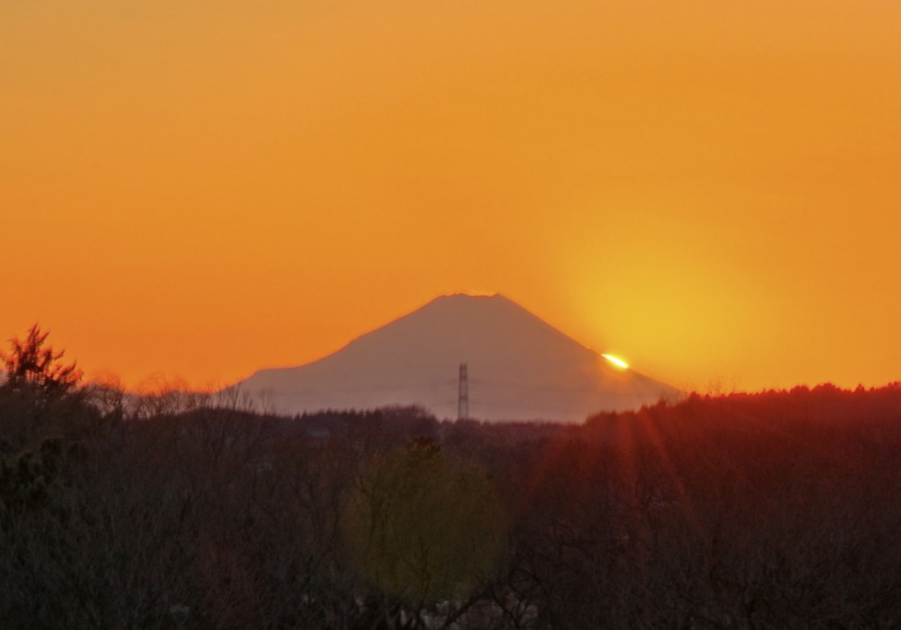 a0150260_092398.jpg