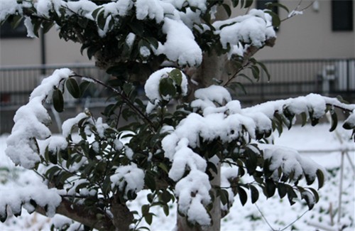 f0003174_1402029.jpg