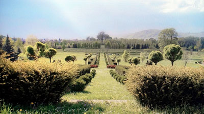 c0039487_20272182.jpg