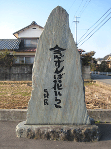a0030594_2253028.gif