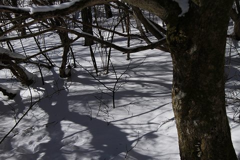 a0222494_19400338.jpg