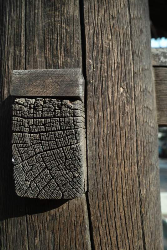 f0224100_7482315.jpg