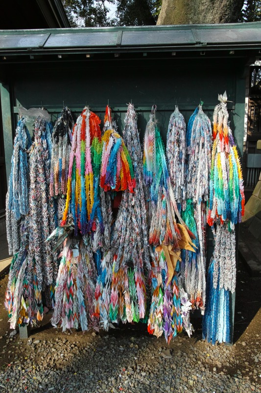 f0224100_7501877.jpg