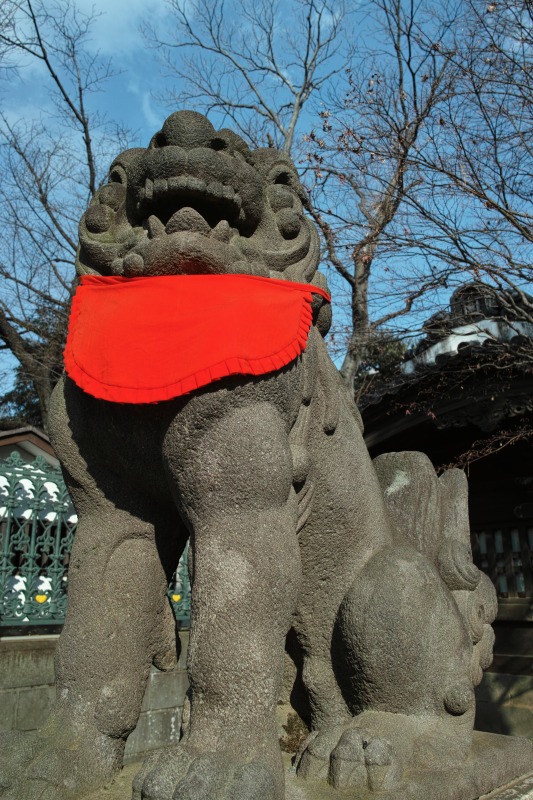 f0224100_7515877.jpg
