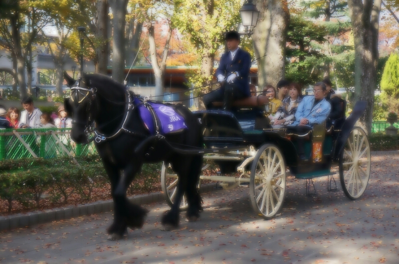 c0110906_13453518.jpg