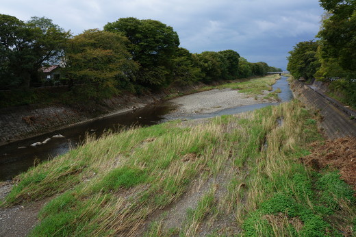 b0238507_14361779.jpg