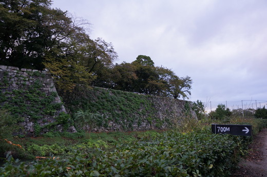b0238507_16252614.jpg