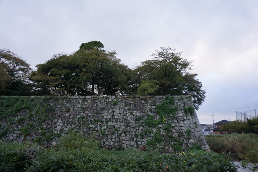 b0238507_1627669.jpg