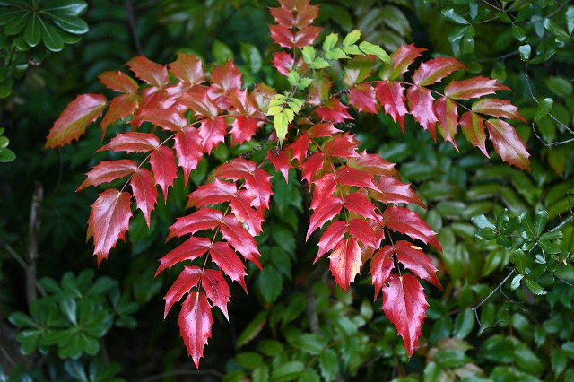 a0242438_22272040.jpg