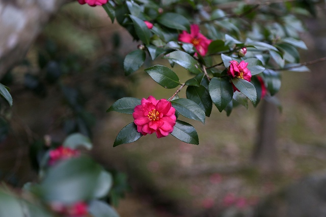 a0242438_22273149.jpg