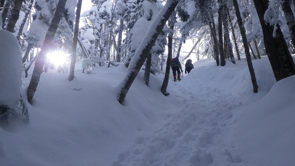 c0042847_1712013.jpg