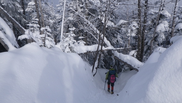 c0042847_172322100.jpg