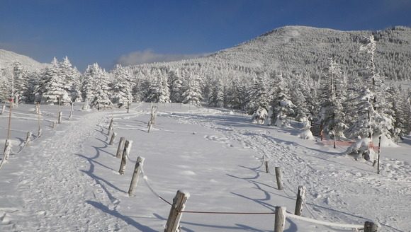 c0042847_17261079.jpg