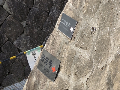 d0031853_10385685.jpg