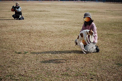d0146153_1383776.gif