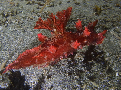 f0020555_1858930.jpg