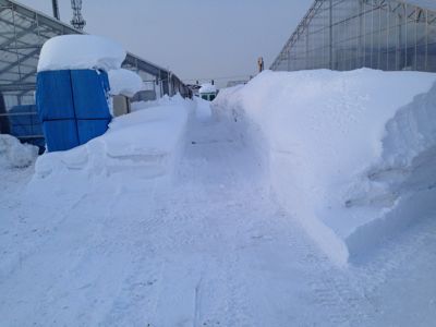 f0122259_16474068.jpg