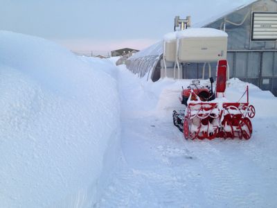 f0122259_16474275.jpg