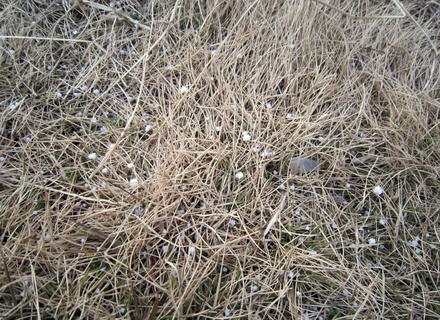 c0171368_21454413.jpg