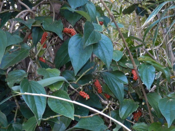 e0292172_16182158.jpg