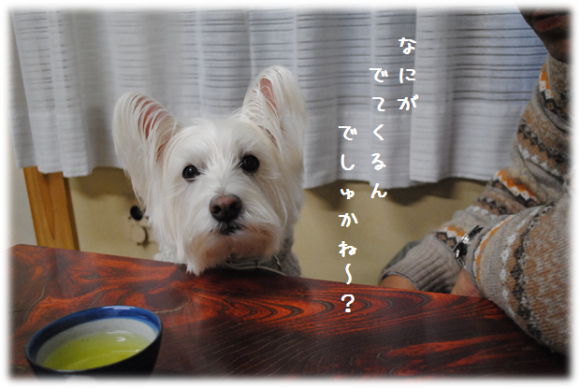 b0242873_02131082.png
