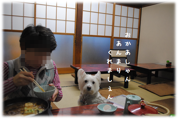 b0242873_02254869.png