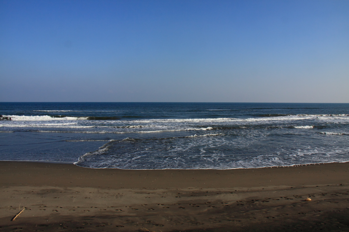 e0249878_21203156.jpg