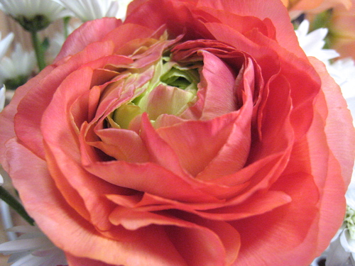 e0275478_16302071.jpg