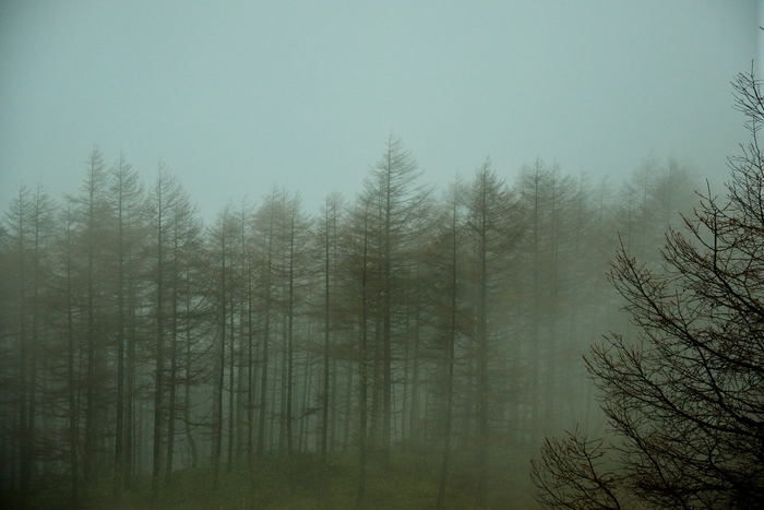 c0246290_1244764.jpg