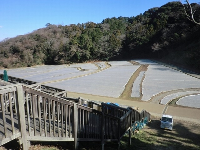 e0143690_1026588.jpg