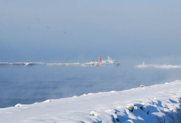 f0159390_17464266.jpg