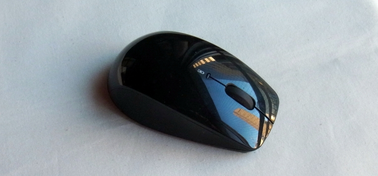 c0168096_7562826.jpg