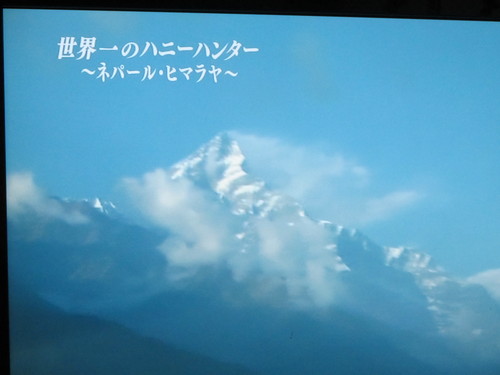 e0033301_1401092.jpg