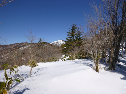 d0170615_99659.jpg