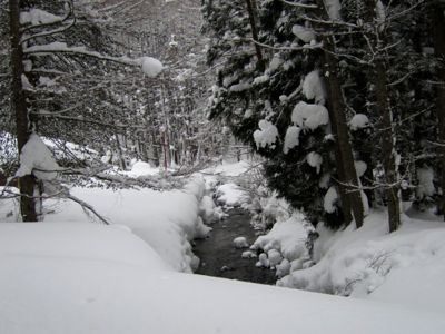 e0192217_10214663.jpg