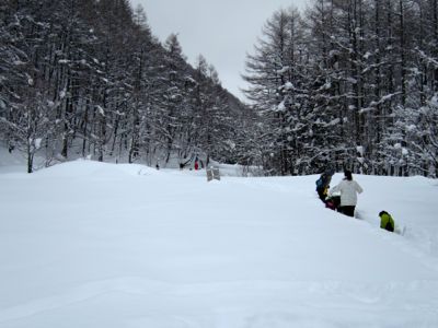 e0192217_10244399.jpg