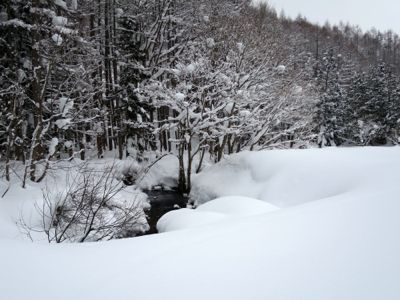 e0192217_10373159.jpg
