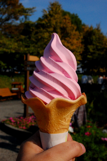 a0084621_1735525.jpg