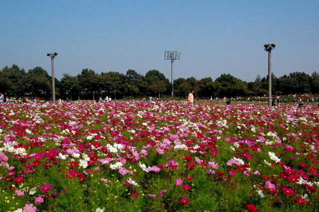 a0084621_17361842.jpg