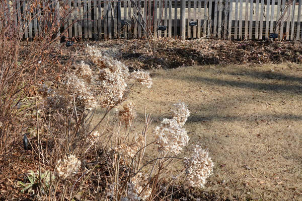c0107129_21434143.jpg
