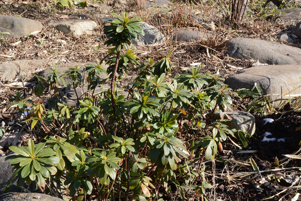 c0107129_2143616.jpg