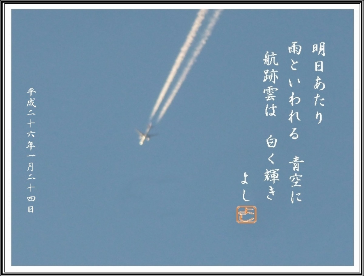 e0033229_223330.jpg