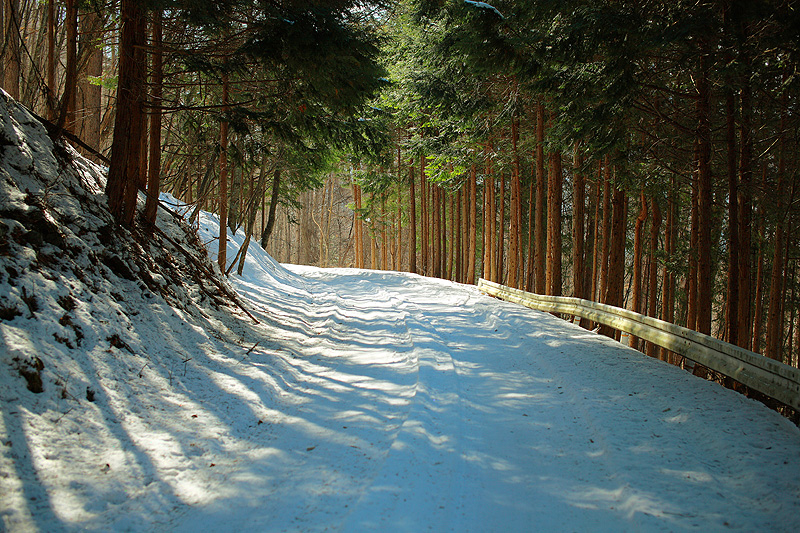 c0313231_1655357.jpg
