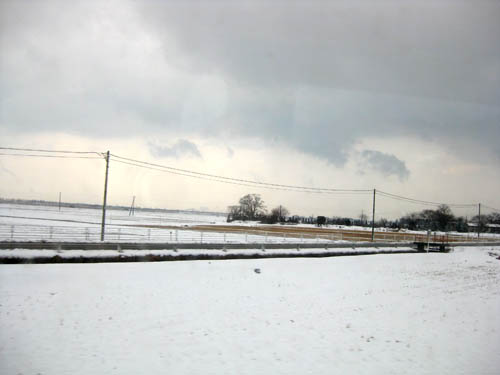 e0134232_1762696.jpg