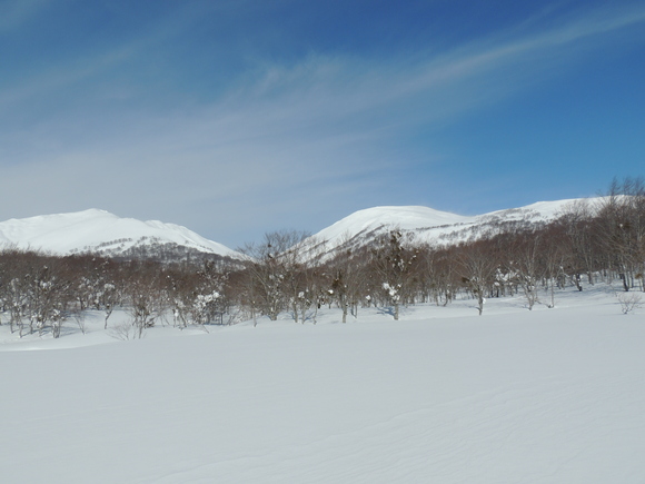 f0118332_2344351.jpg