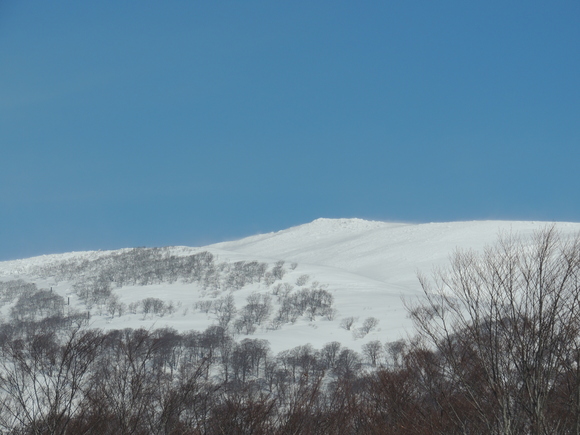 f0118332_2355353.jpg